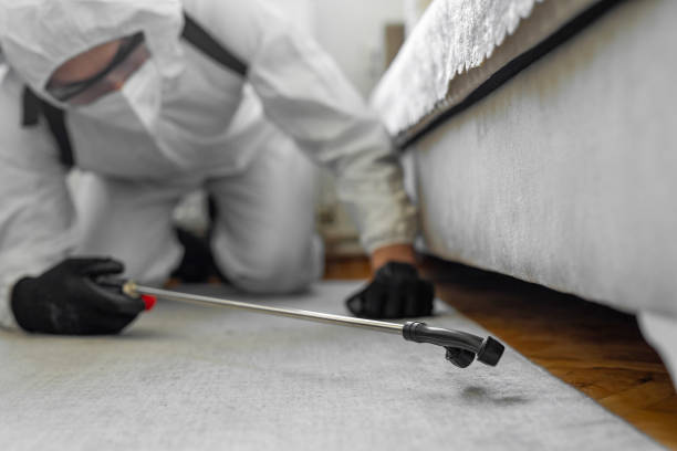 Professional Cockroach Control technician working in Paw Paw Lake, MI