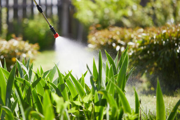 24/7 Emergency Cockroach Control experts in Paw Paw Lake, MI