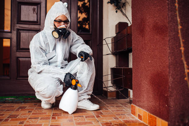 Reliable Cockroach Control contractor in Paw Paw Lake, MI by Nex Pest Control