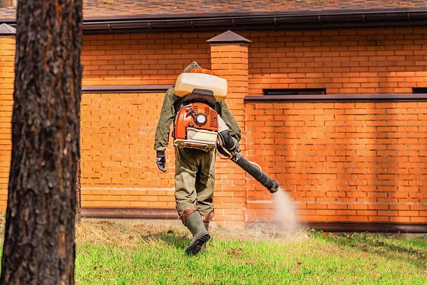 Top rated local Cockroach Control specialists in Paw Paw Lake, MI